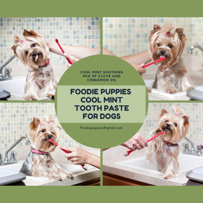 Foodie Puppies Dental Care Cool Mint Toothpaste for Dog & Puppy - 100g