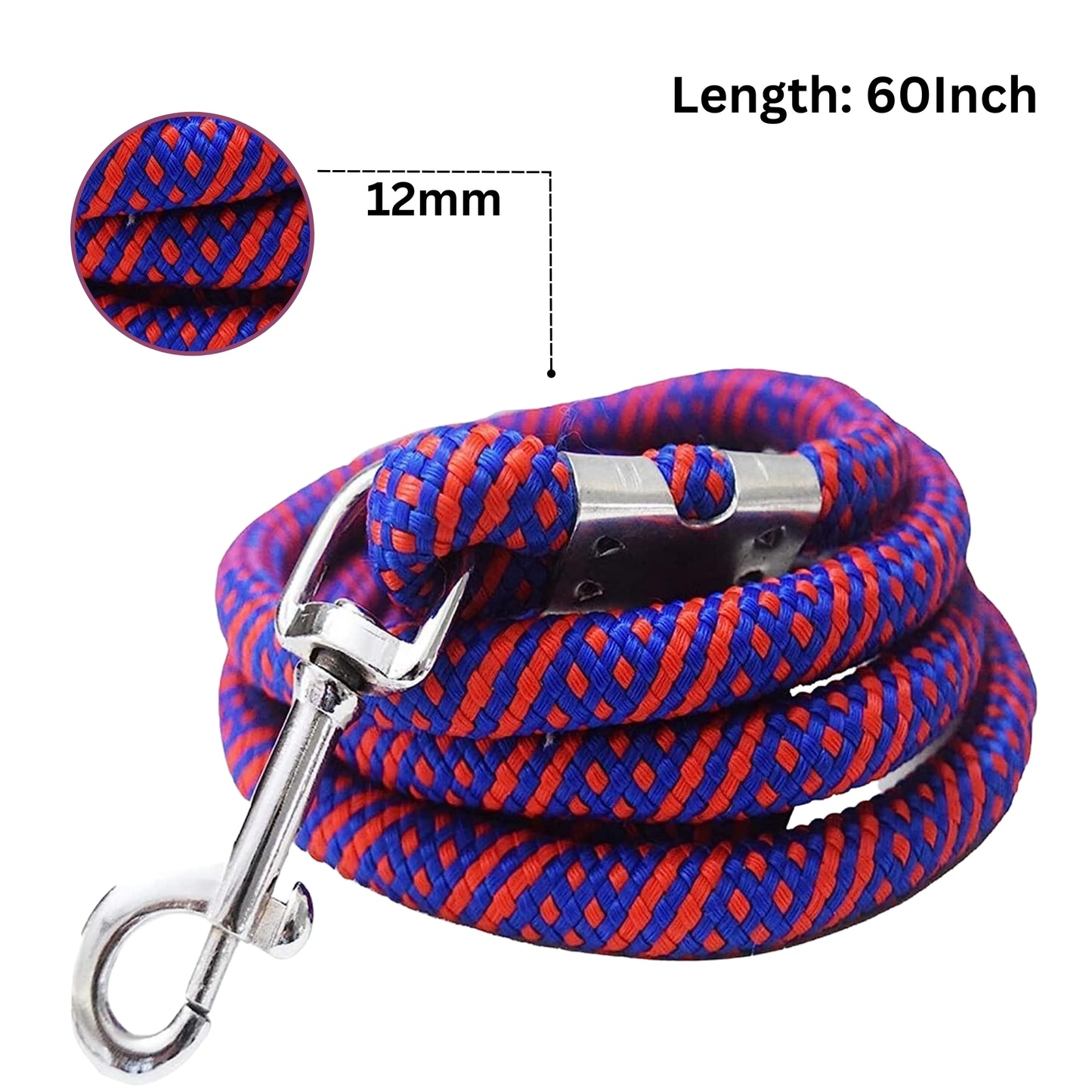 Foodie Puppies Nylon Leash for Medium & Large Dogs - 12mm (Color May Vary)