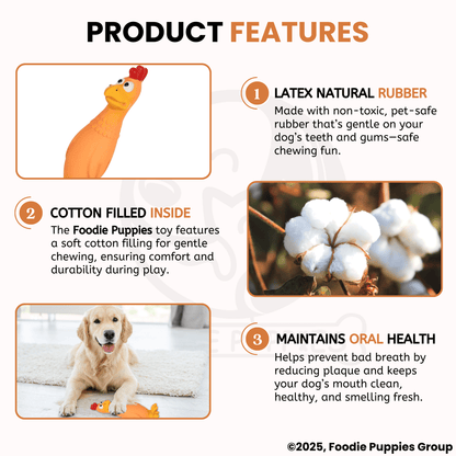 Orange & Yellow Hen Squeaky Dogs Toy