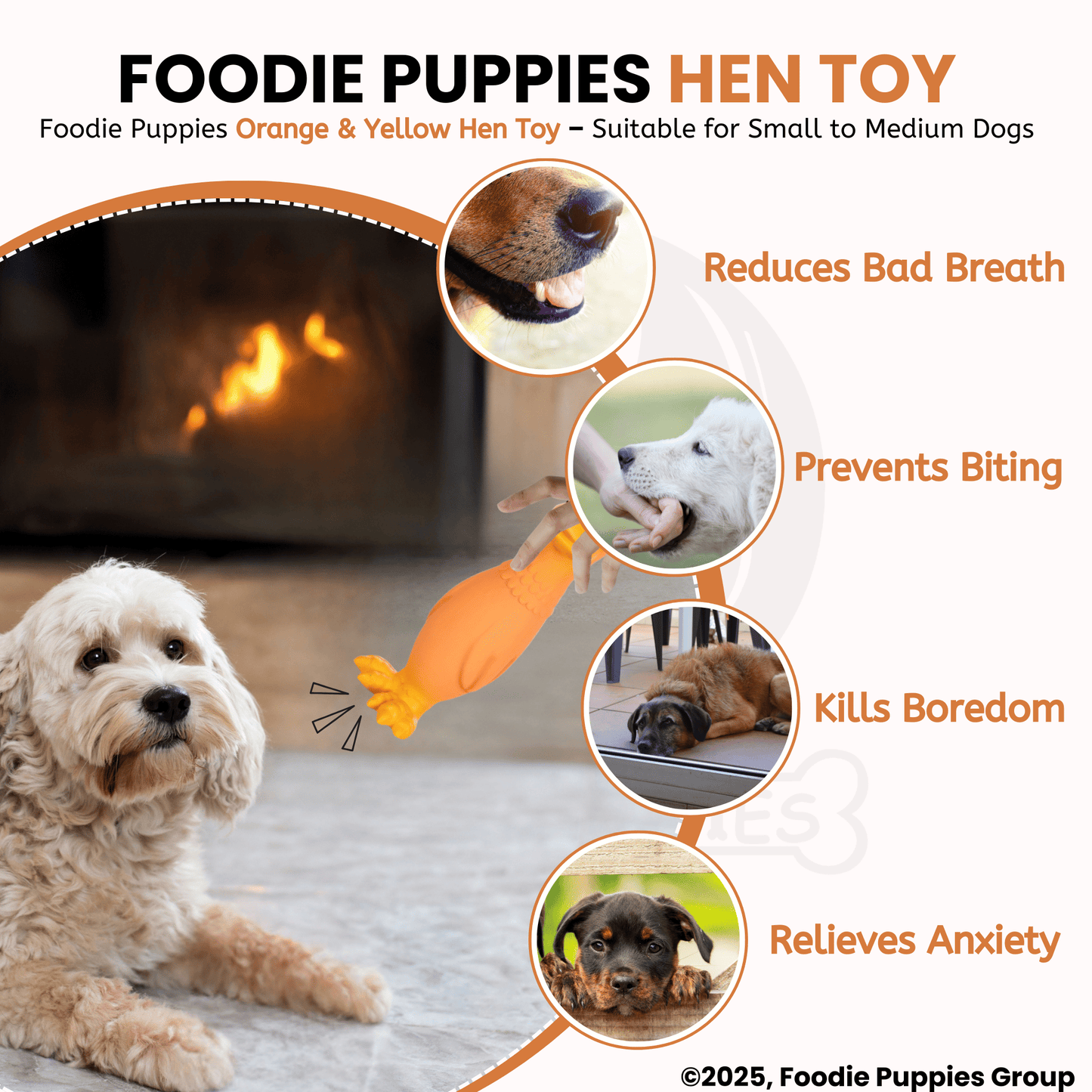 Orange & Yellow Hen Squeaky Dogs Toy