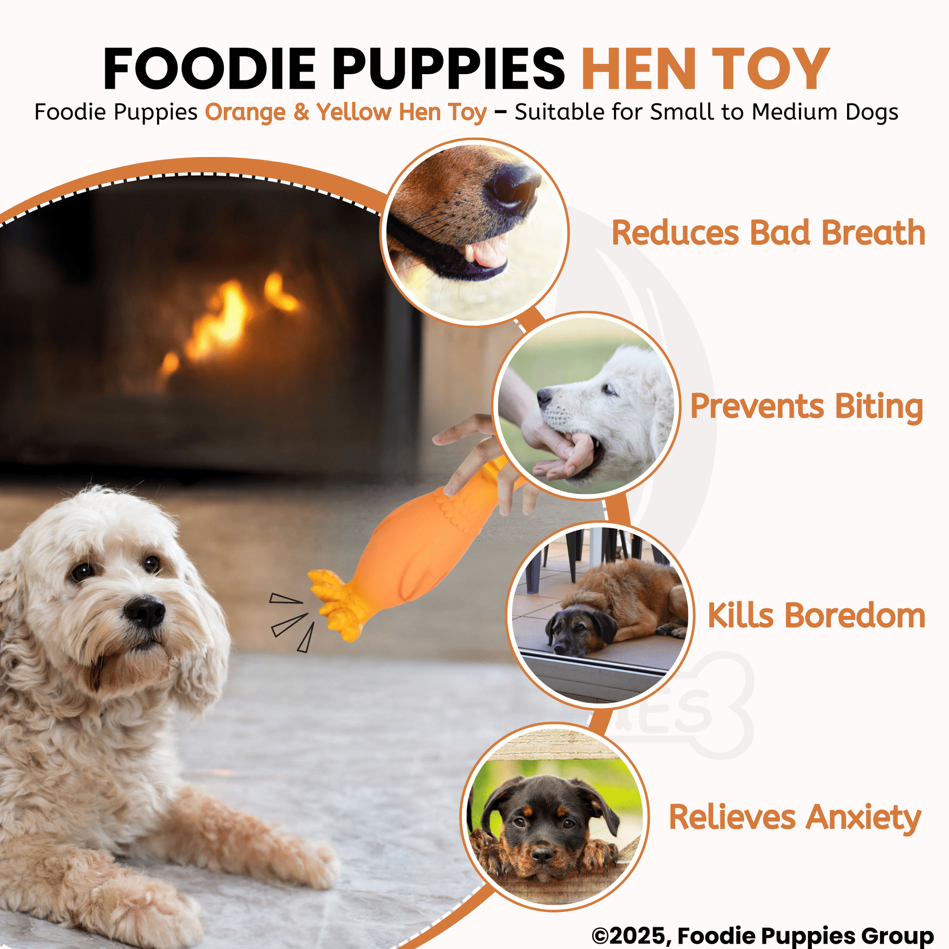 Orange & Yellow Hen Squeaky Dogs Toy