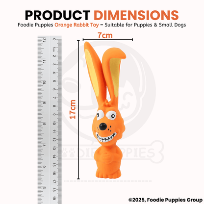 Latex Rubber Squeaky Dog Chew Toy - Orange Rabbit