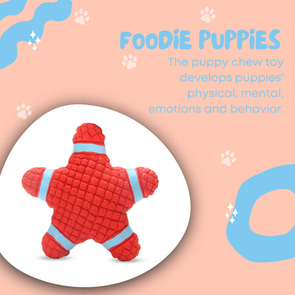 Foodie Puppies Latex Squeaky Toy for Medium Dogs - Star Fish, Large