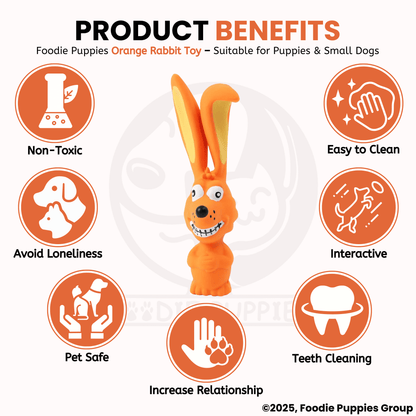 Orange Rabbit Chew Toy 
