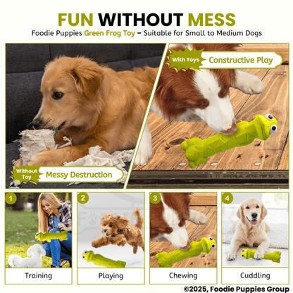 Green Frog Squeaky Chew Latex Rubber Toy for Small Dogs and Puppies