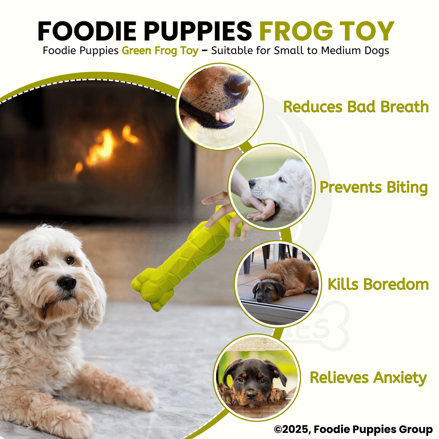 Green Frog Squeaky Chew Latex Rubber Toy for Small Dogs and Puppies