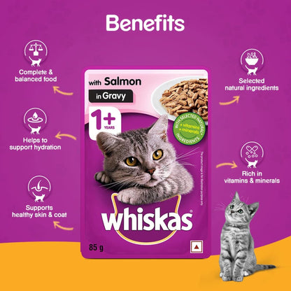 Whiskas Salmon in Gravy Wet Food for Adult Cats - 85gm, Pack of 6