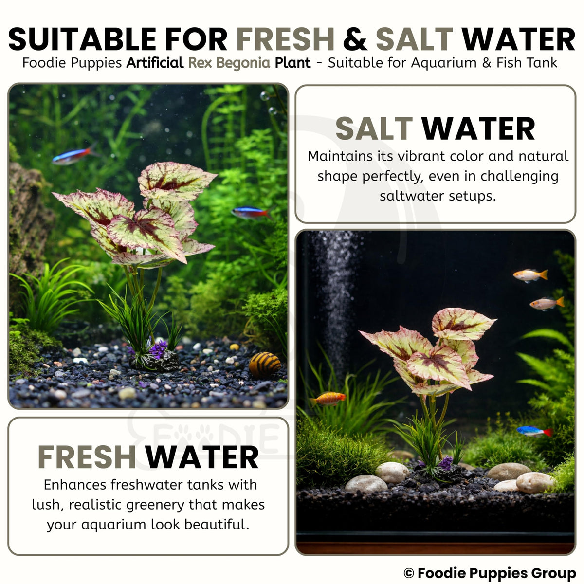 Foodie Puppies Aquarium Rex Begonia Plastic Plant with Resin Base Decor for Fish Tank Ornament Accessories
