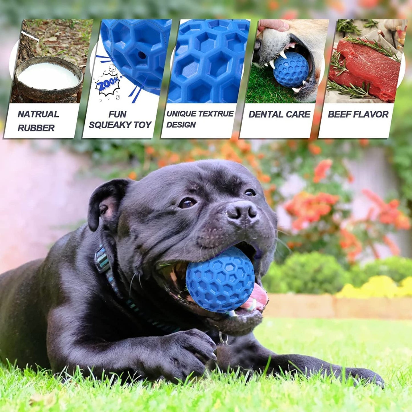 Foodie Puppies Squeaky Tough Chew Toy for Medium Dogs - Golf Ball