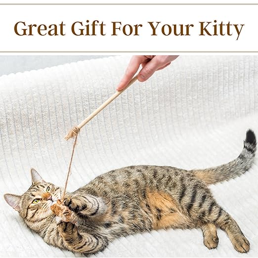 cat feather toy