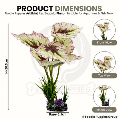 Foodie Puppies Aquarium Rex Begonia Plastic Plant with Resin Base Decor for Fish Tank Ornament Accessories