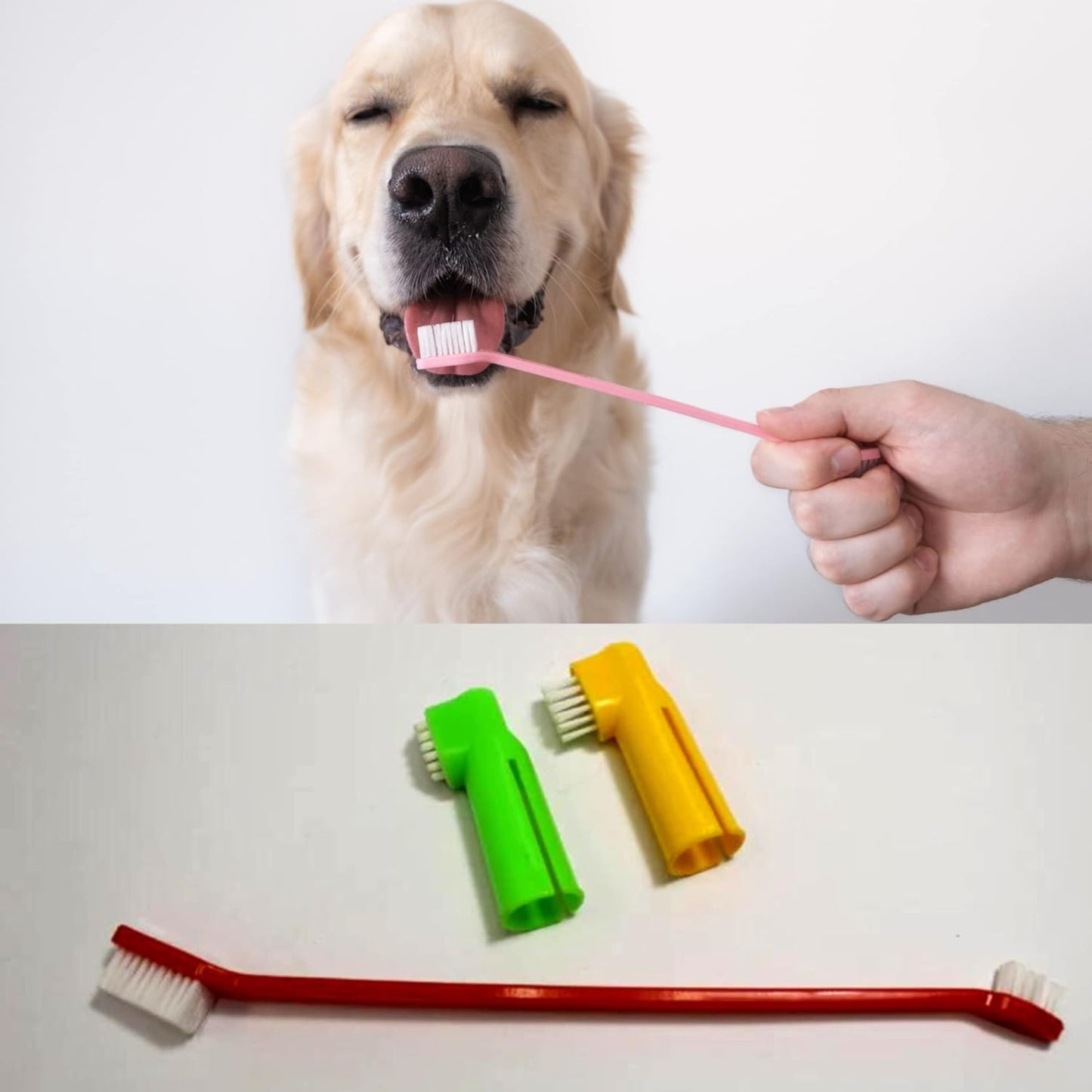 Foodie Puppies 3 Pcs Toothbrush for Dogs and Cats (Color May Vary)