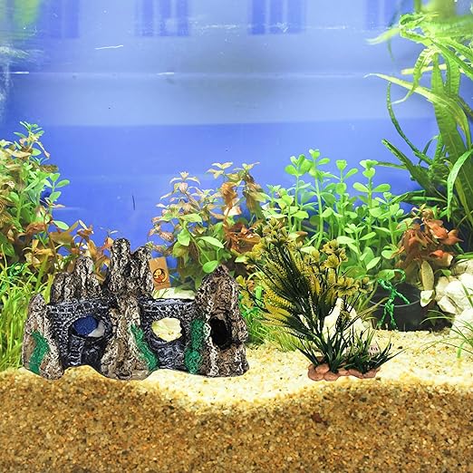 fish tank decor 