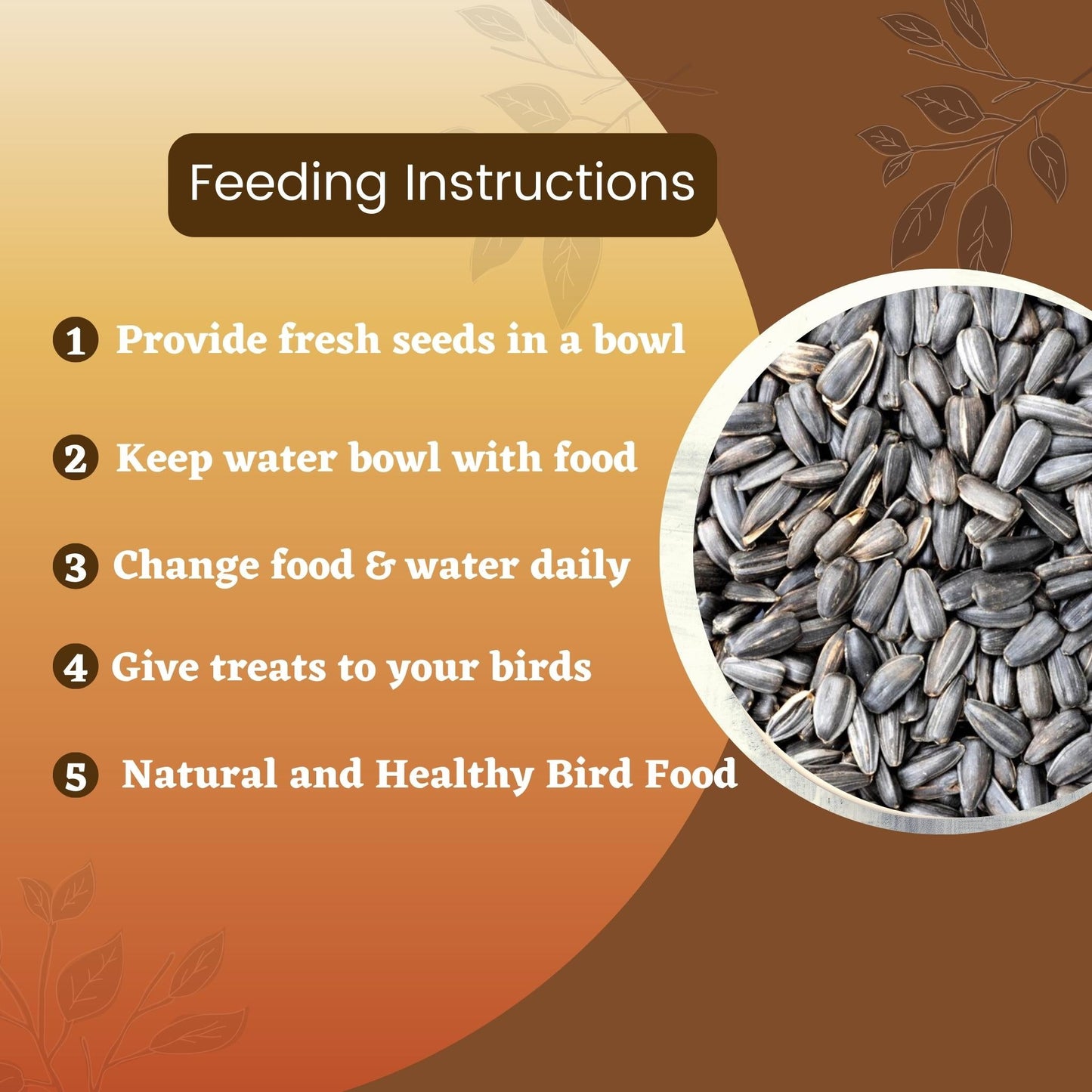 Foodie Puppies Sunflower Seeds - 2Kg | Suitable for All Types of Birds