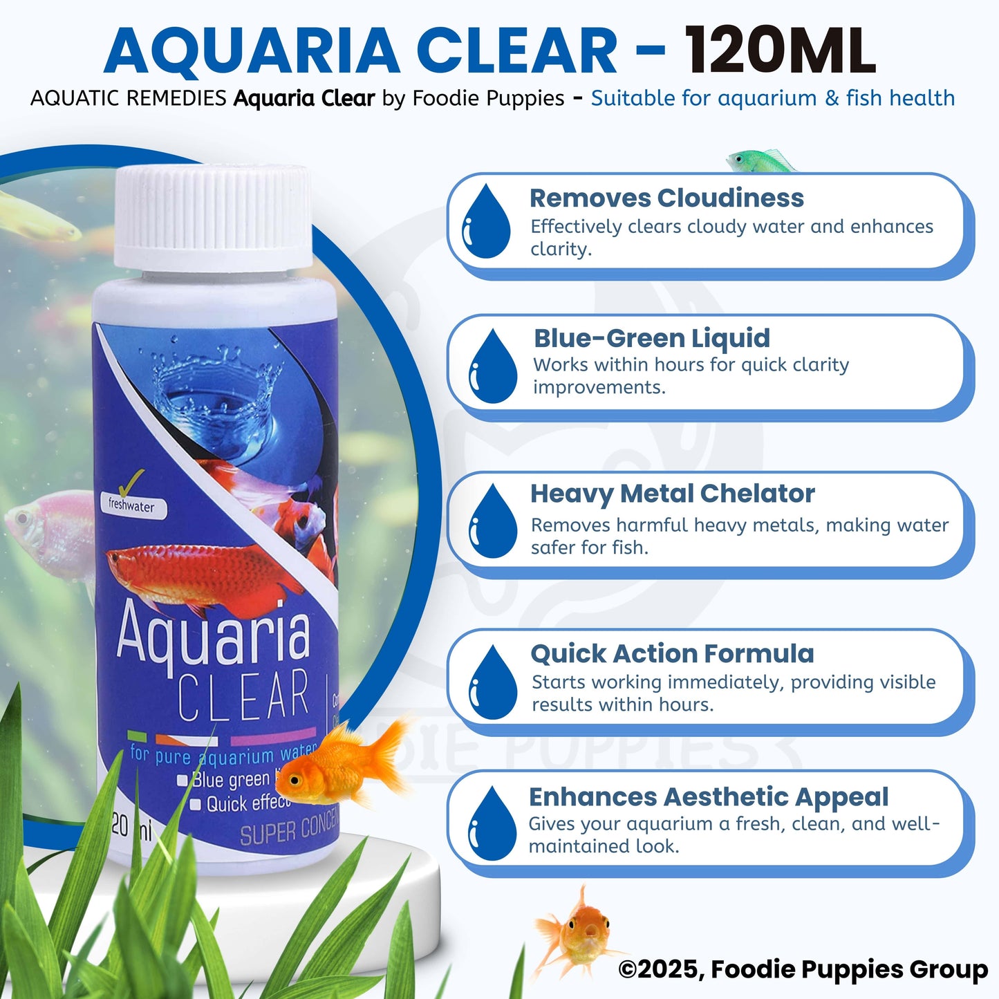 Foodie Puppies Aquatic Remedies Aquaria Clear - 120ml (Pack of 2) | Suitable for Fresh Water | Cloudy Water Remover for Crystal Clear Aquarium Water with Free Key Ring