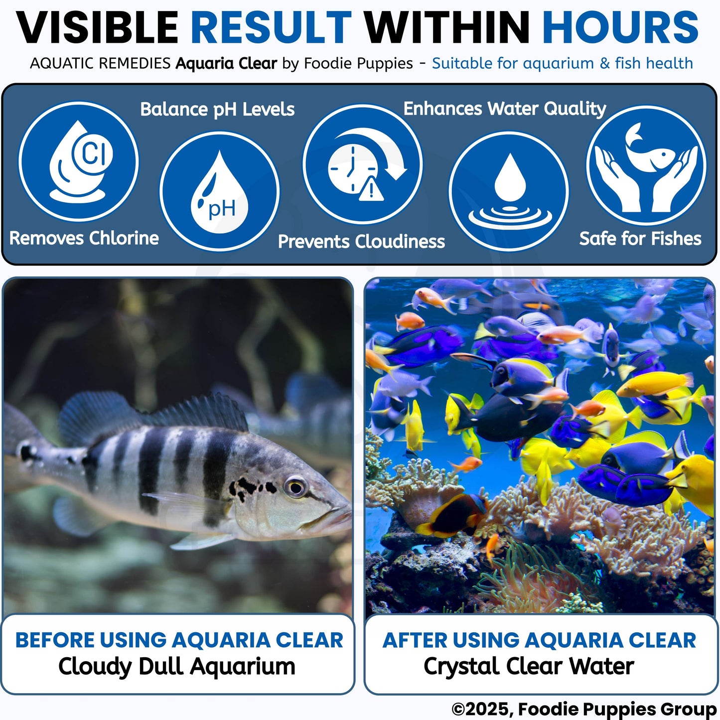 Foodie Puppies Aquatic Remedies Aquaria Clear - 120ml (Pack of 2) | Suitable for Fresh Water | Cloudy Water Remover for Crystal Clear Aquarium Water with Free Key Ring