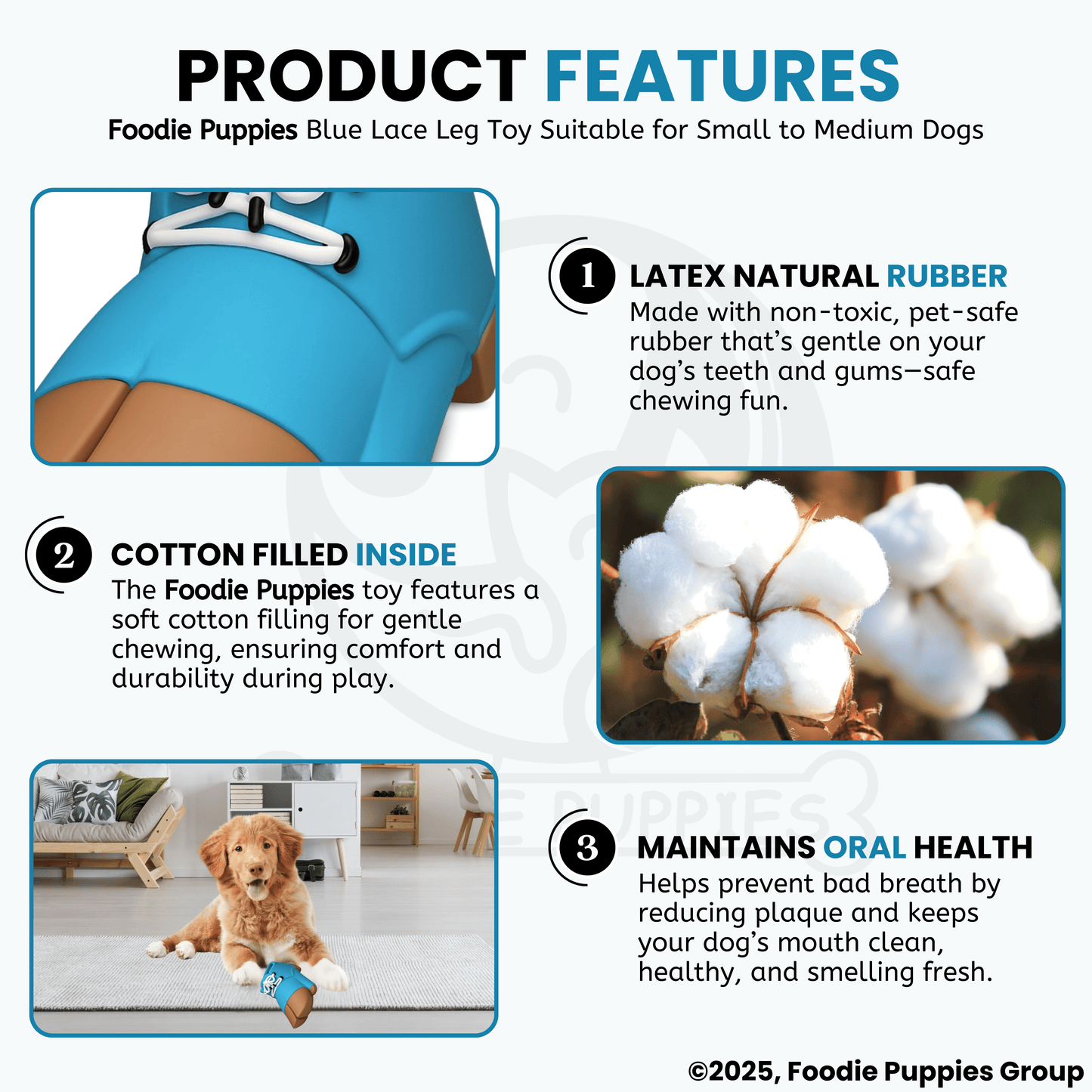 Blue Lace Leg Latex Dog Squeaky Chew Toy (8cm) for Small to Medium Dogs and Puppies