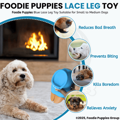 Blue Lace Leg Latex Dog Squeaky Chew Toy (8cm) for Small to Medium Dogs and Puppies