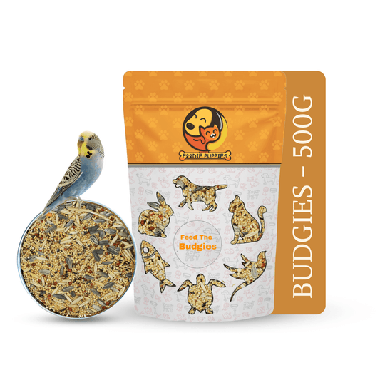 Can Dogs Eat Bird Seed: Risks and Surprising Facts Revealed