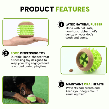 Dog Hard Chew Toy