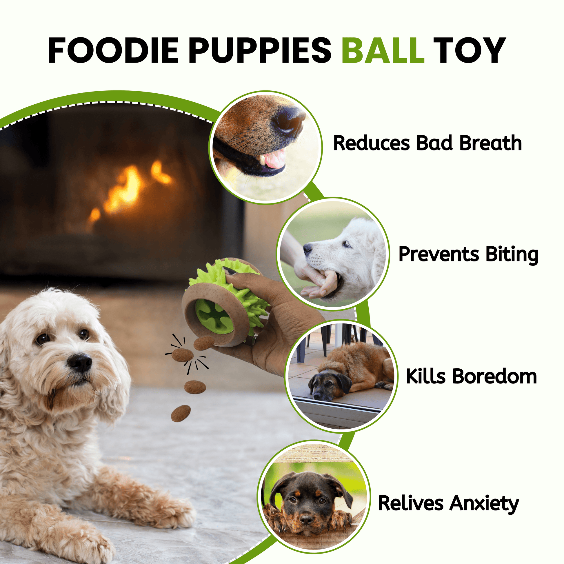 Dog Hard Chew Toy