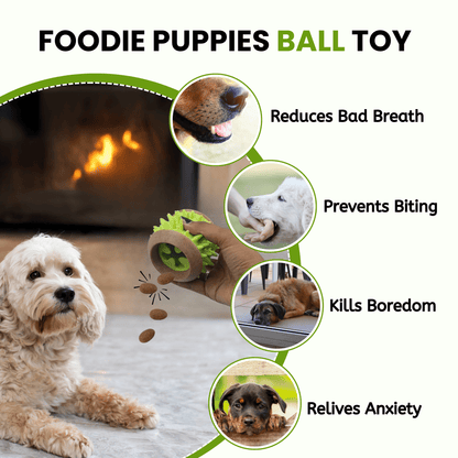 Dog Hard Chew Toy