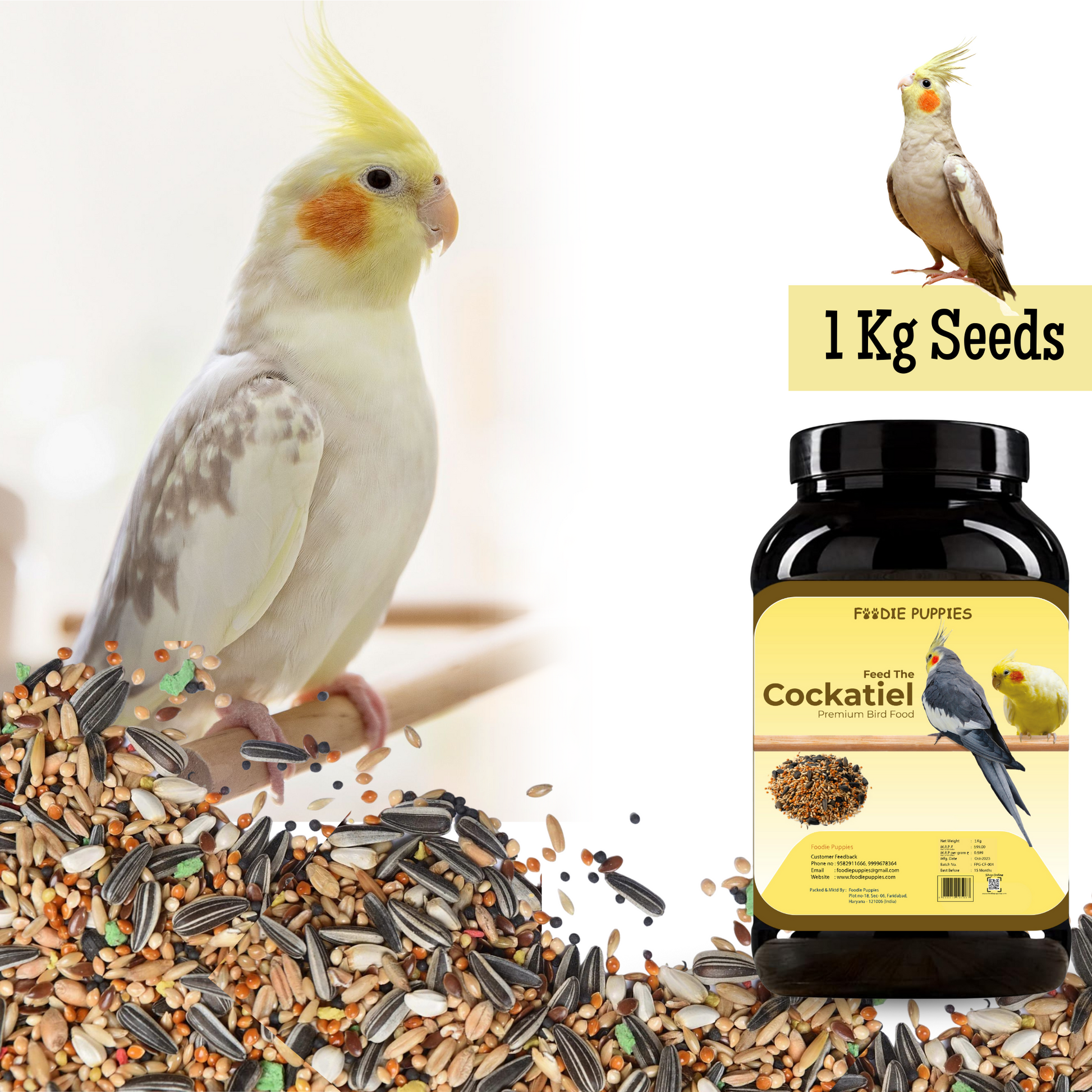 Cockatiel Mix Seeds 1Kg Premium Seeds for Birds – Foodie Puppies