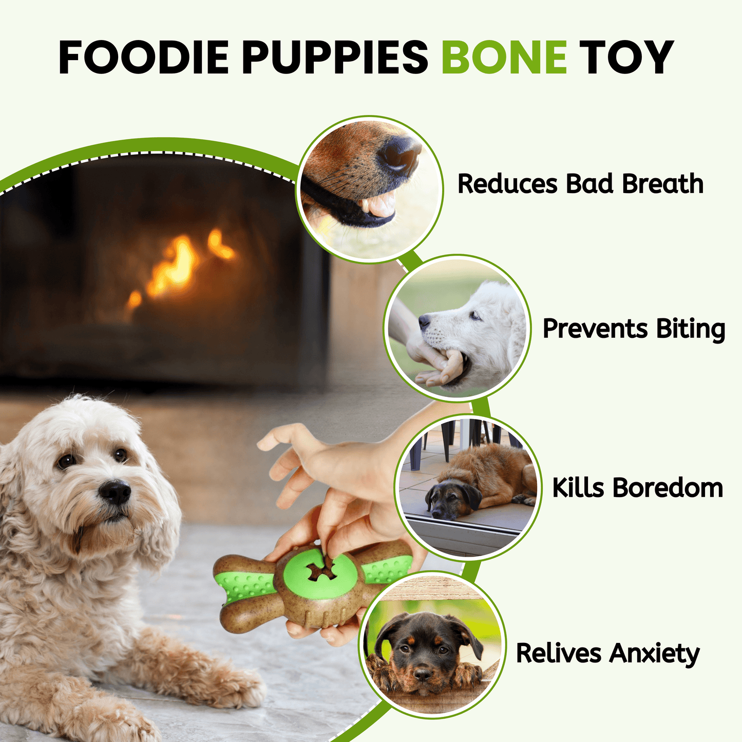 Dog Hard Chew Toy