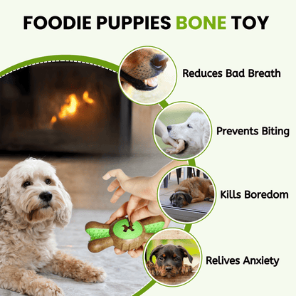 Dog Hard Chew Toy
