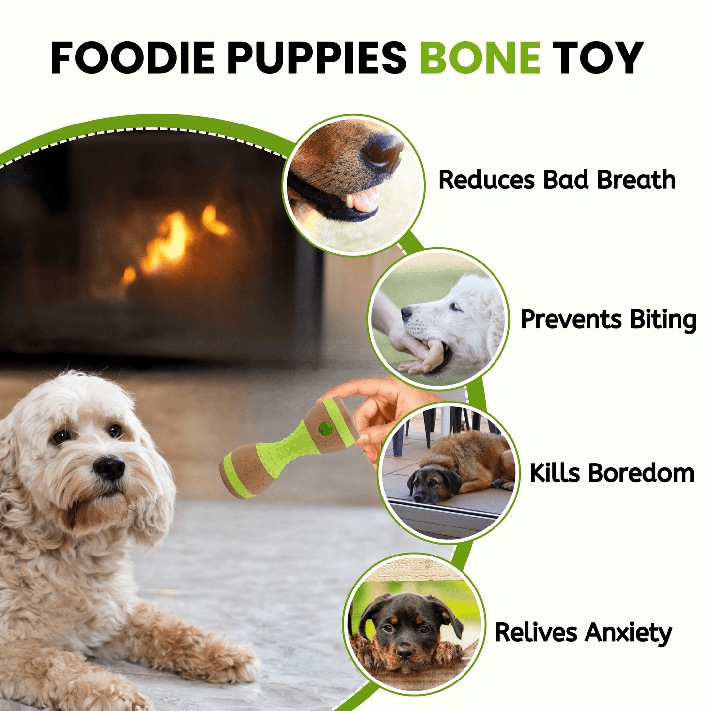 Dog Hard Chew Toy