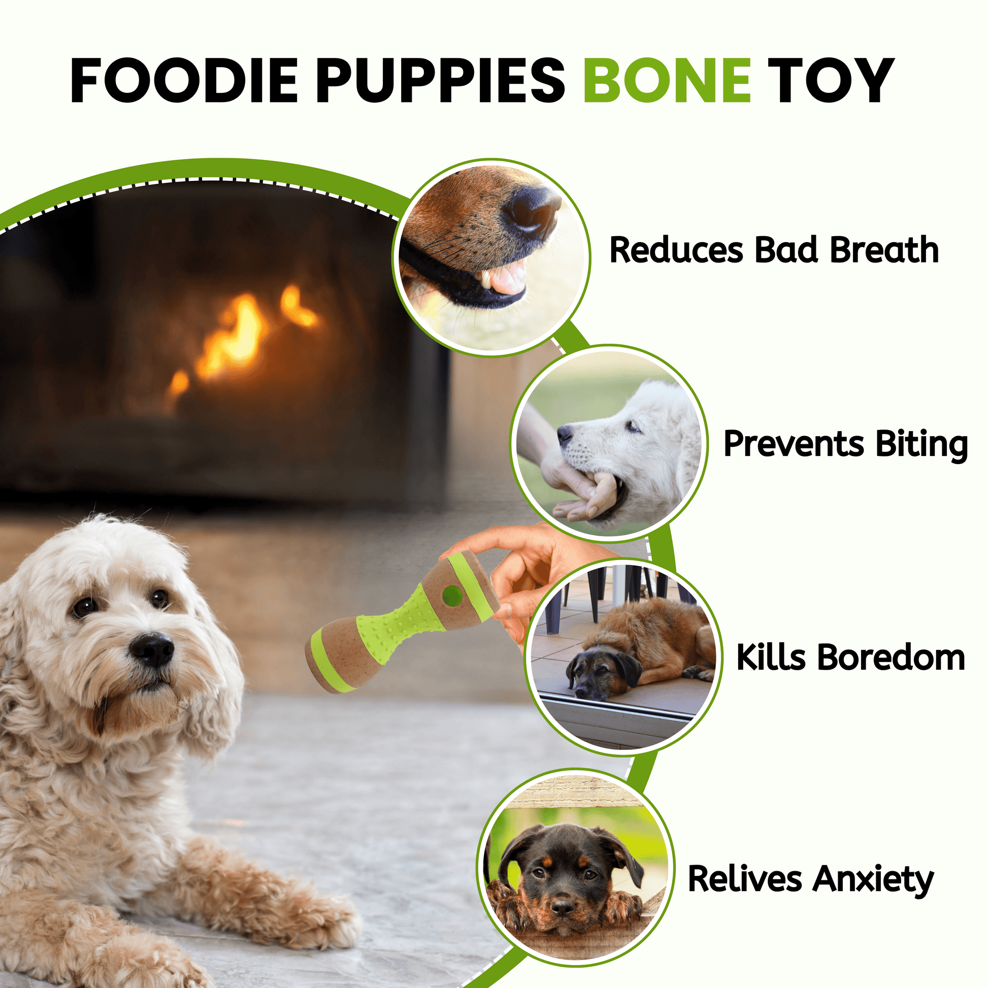 Dog Hard Chew Toy