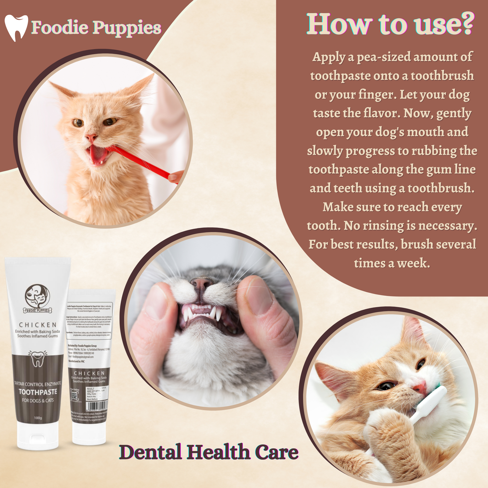 Human Toothpaste Can I Use Cat Toothpaste On My Dog Chicken