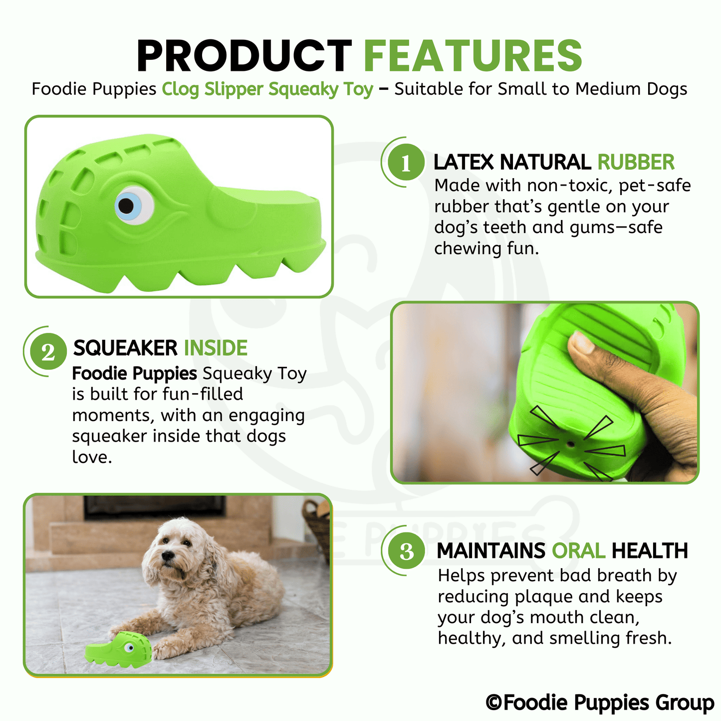 Clog Slipper Squeaky Toy for Puppies and Small to Medium Dogs