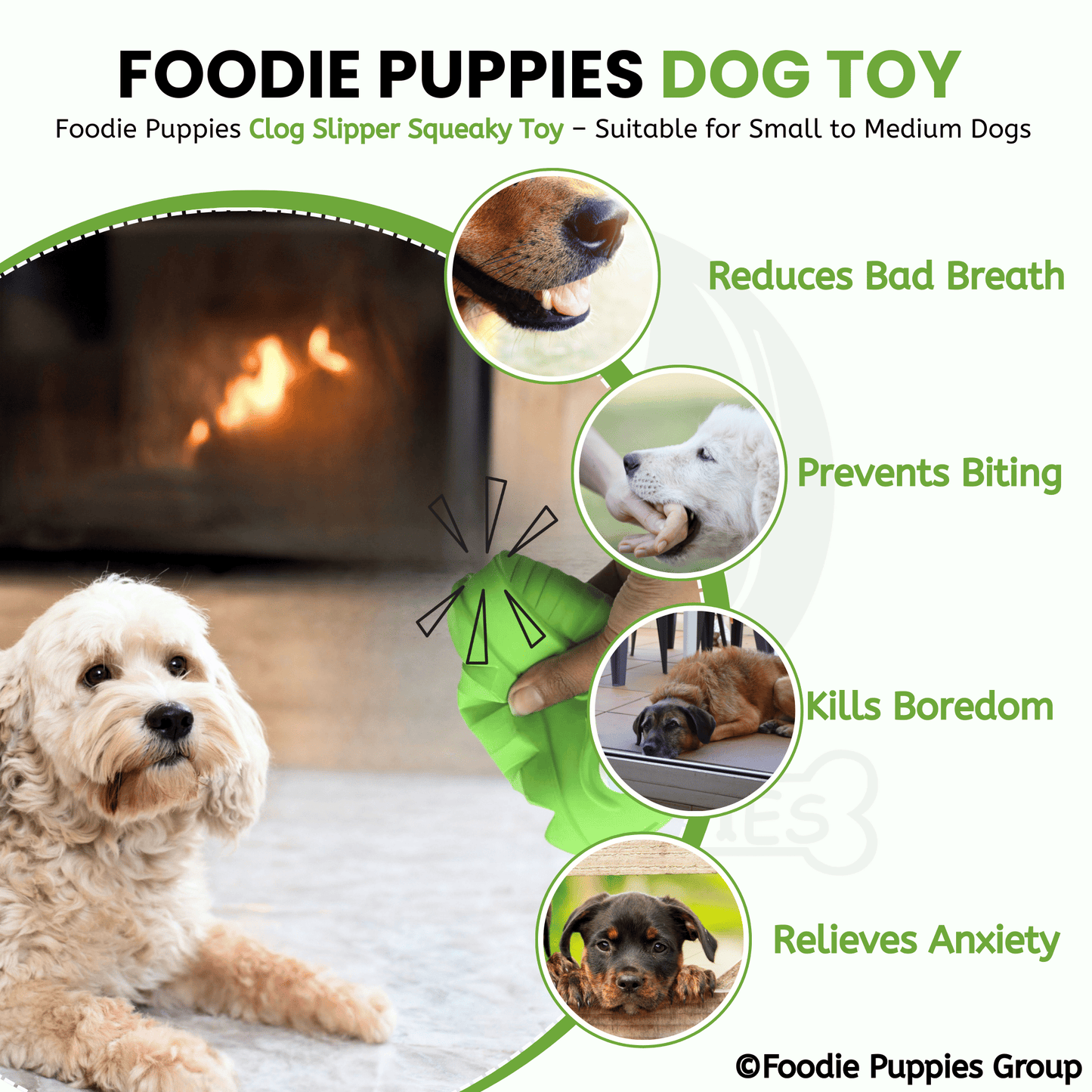 Clog Slipper Squeaky Toy for Puppies and Small to Medium Dogs