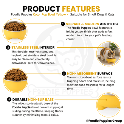 Steel Material Elevated Yellow Bowl For Cat & Kitten 