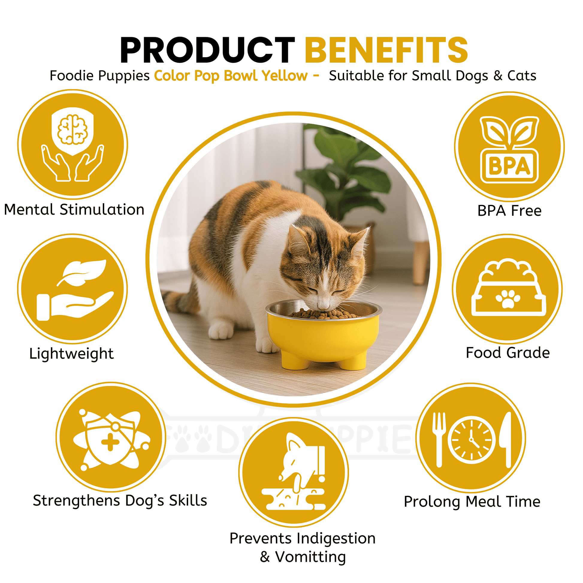 Steel Material Elevated Yellow Bowl For Cat & Kitten 