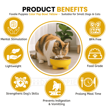 Steel Material Elevated Yellow Bowl For Cat & Kitten 