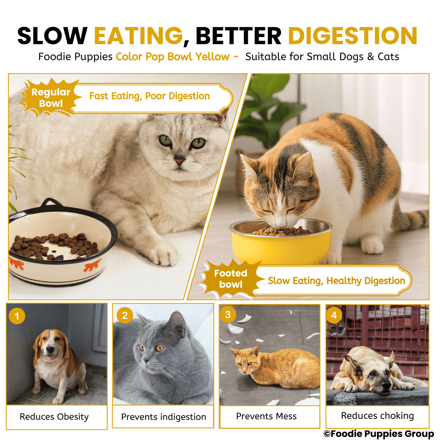 Steel Material Elevated Yellow Bowl For Cat & Kitten 