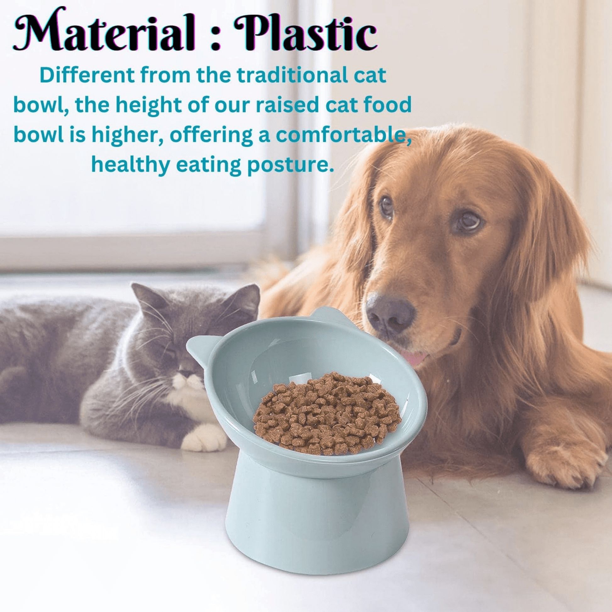 Elevated Food Water Feeder Bowl for Cats, Kittens Puppies