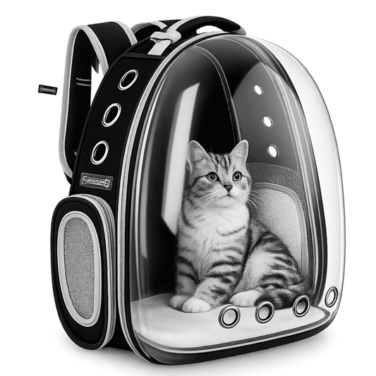 Transparent Travel Backpack for Puppies & Cats (Black)