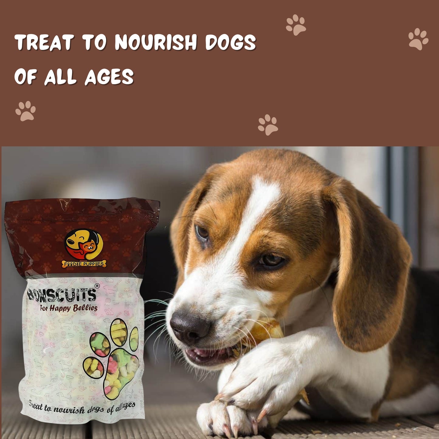 Foodie Puppies Crunchy Mix Assorted Biscuits for Dogs & Puppies - 5Kg