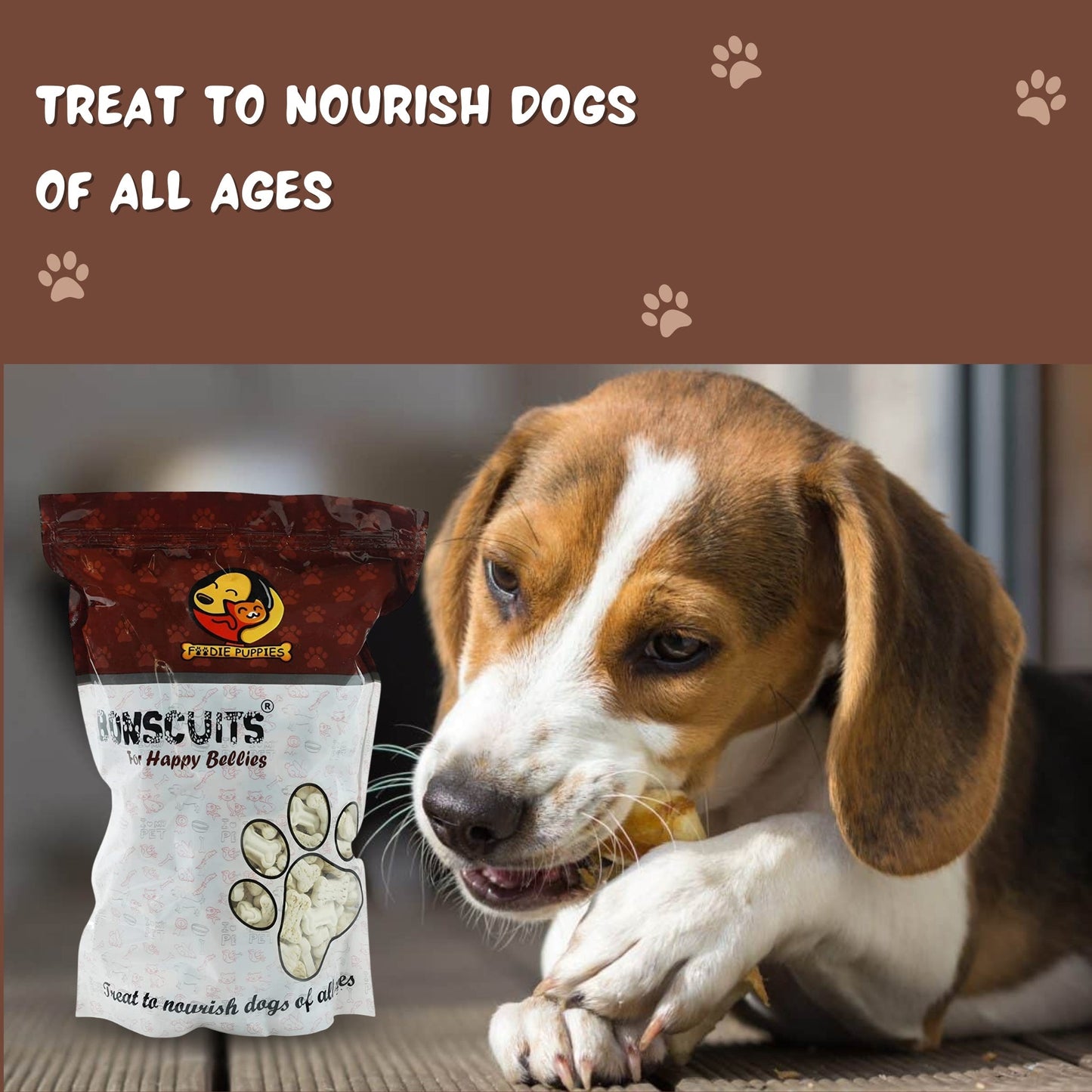Foodie Puppies Crunchy Milk Biscuits for Dogs & Puppies - 20Kg
