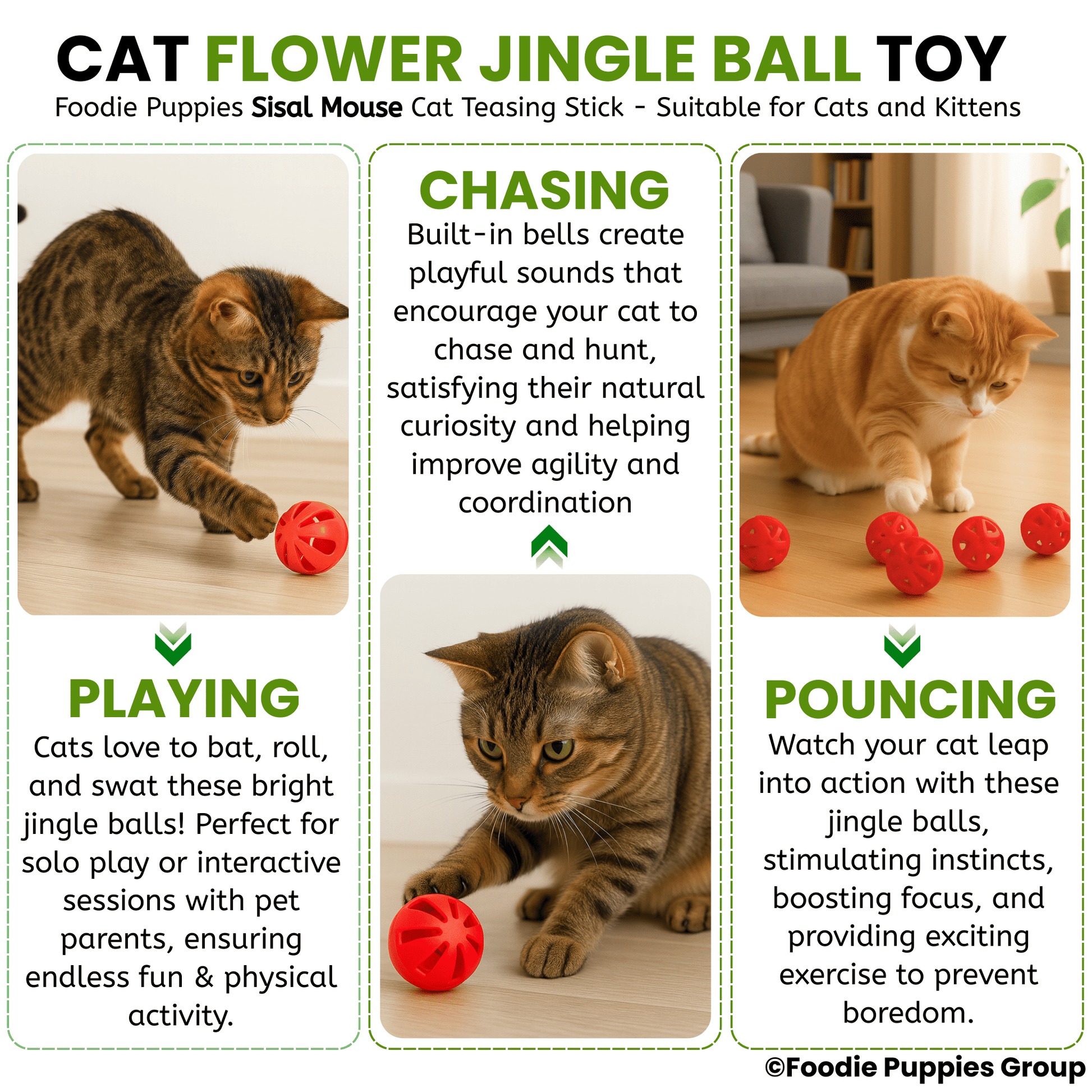 Cat Ball Toy
