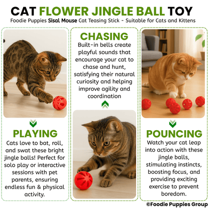 Cat Ball Toy