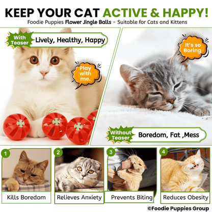 Cat & Kitten Ball Toys