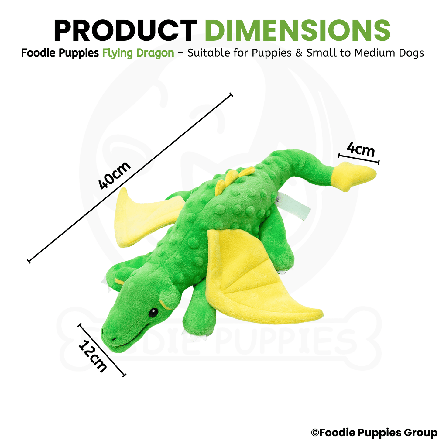Flying Dragon Interactive Plush Squeaky Toy