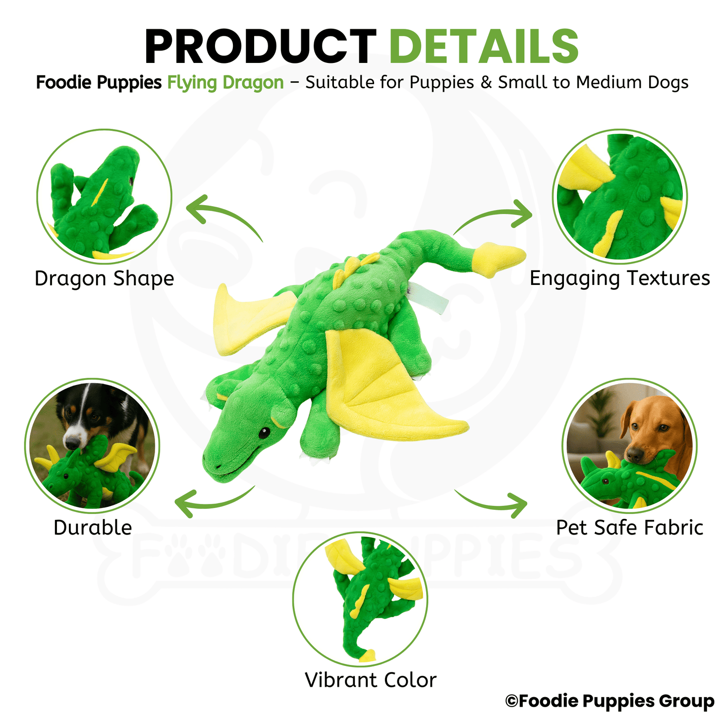 Flying Dragon Interactive Plush Squeaky Toy
