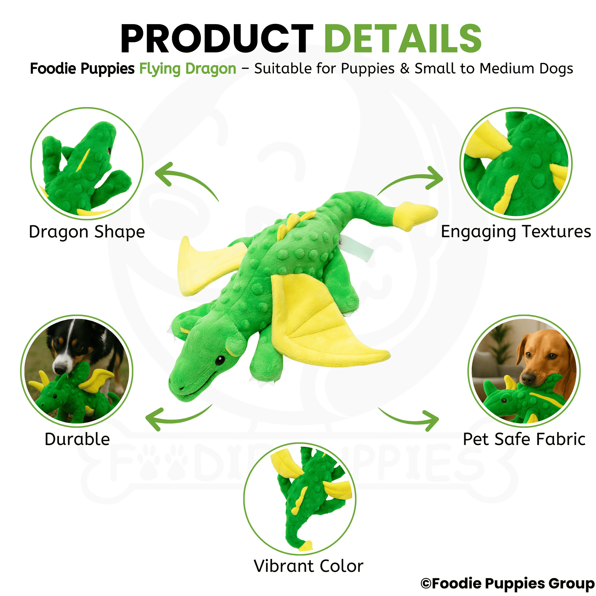 Flying Dragon Interactive Plush Squeaky Toy