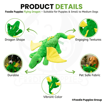 Flying Dragon Interactive Plush Squeaky Toy