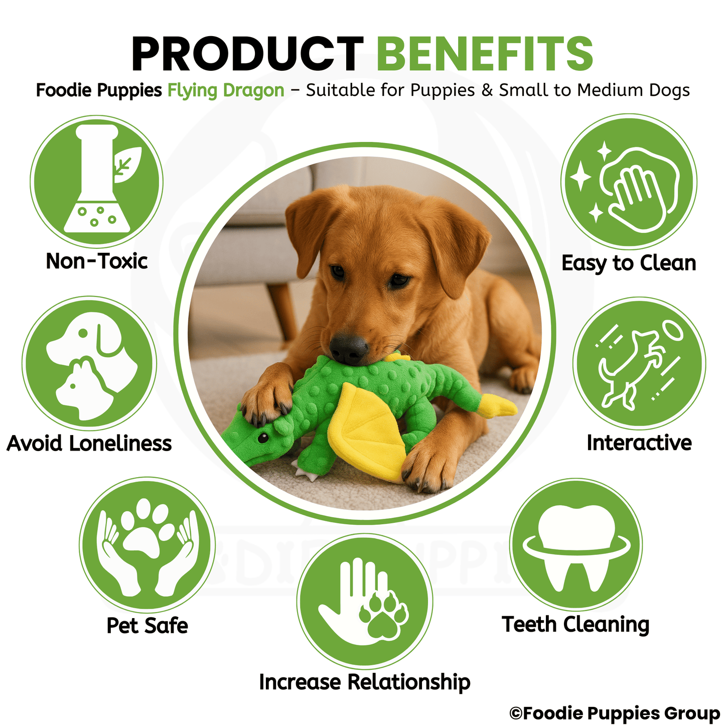 Flying Dragon Interactive Plush Squeaky Toy